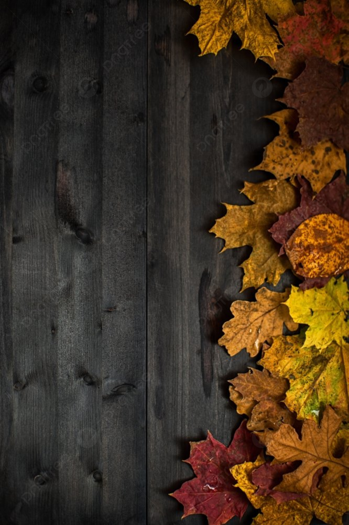 Wood Autumn Background Wood Autumn Background With Free Space For Design And Picture For Free Download