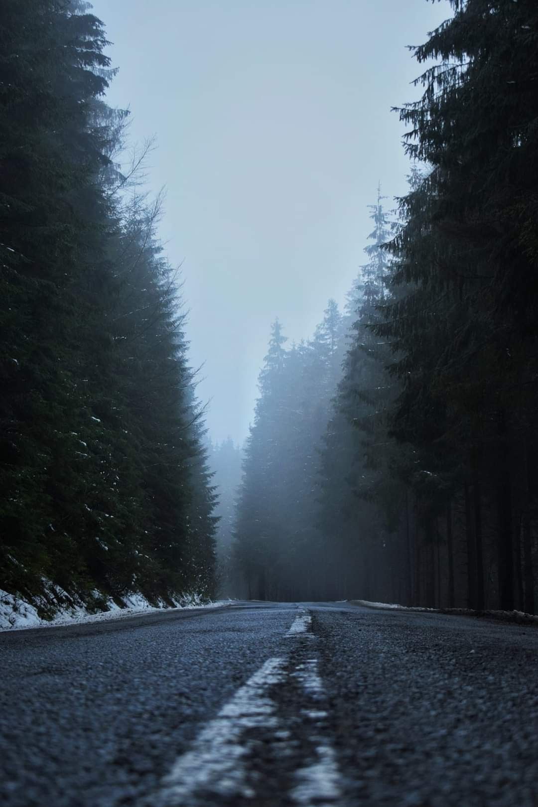 Wintery road. Fantasy landscape, Misty forest, Cool picture of nature