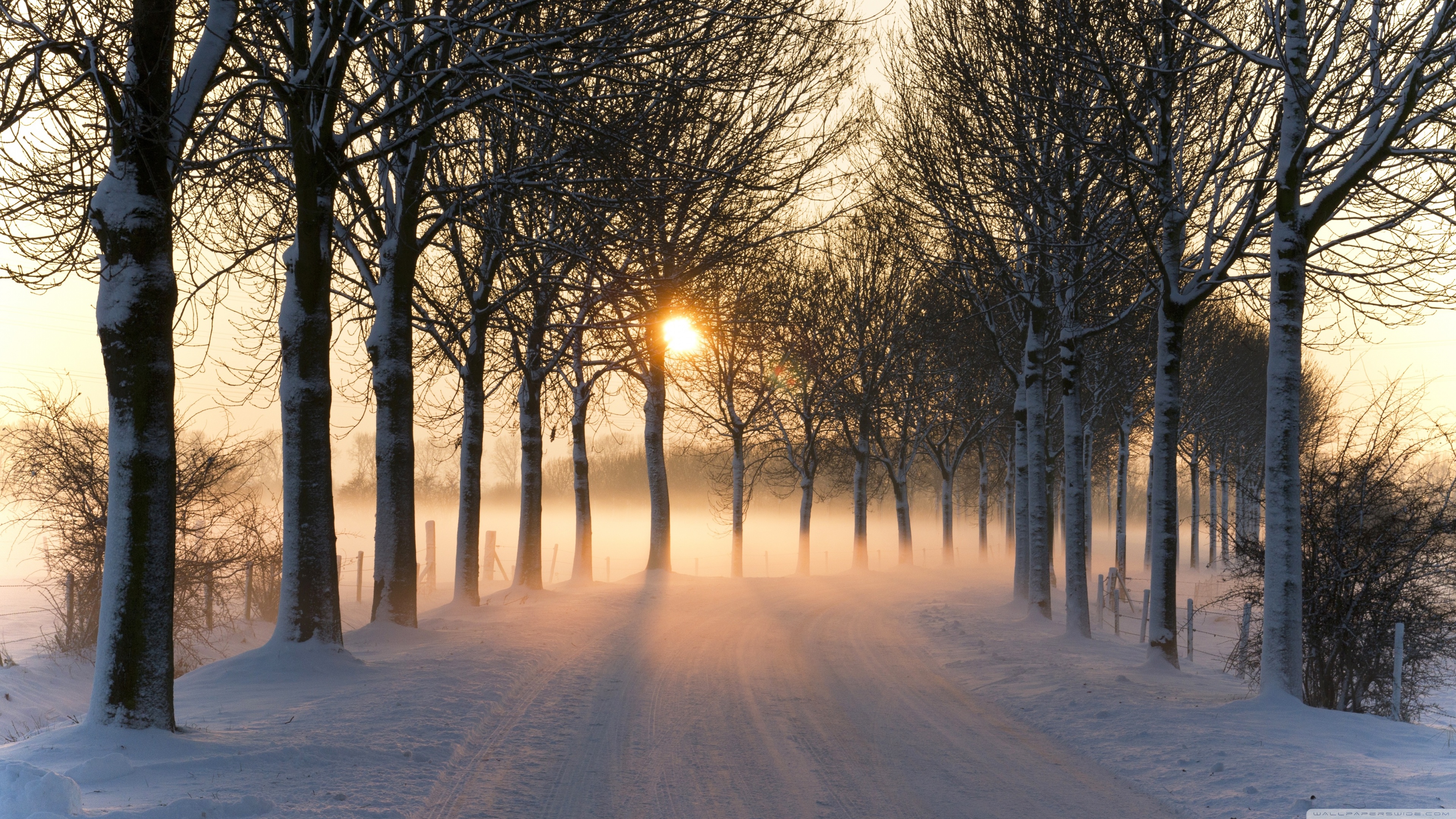 Misty Winter Afternoon Ultra HD Desktop Background Wallpaper for 4K UHD TV, Multi Display, Dual Monitor, Tablet