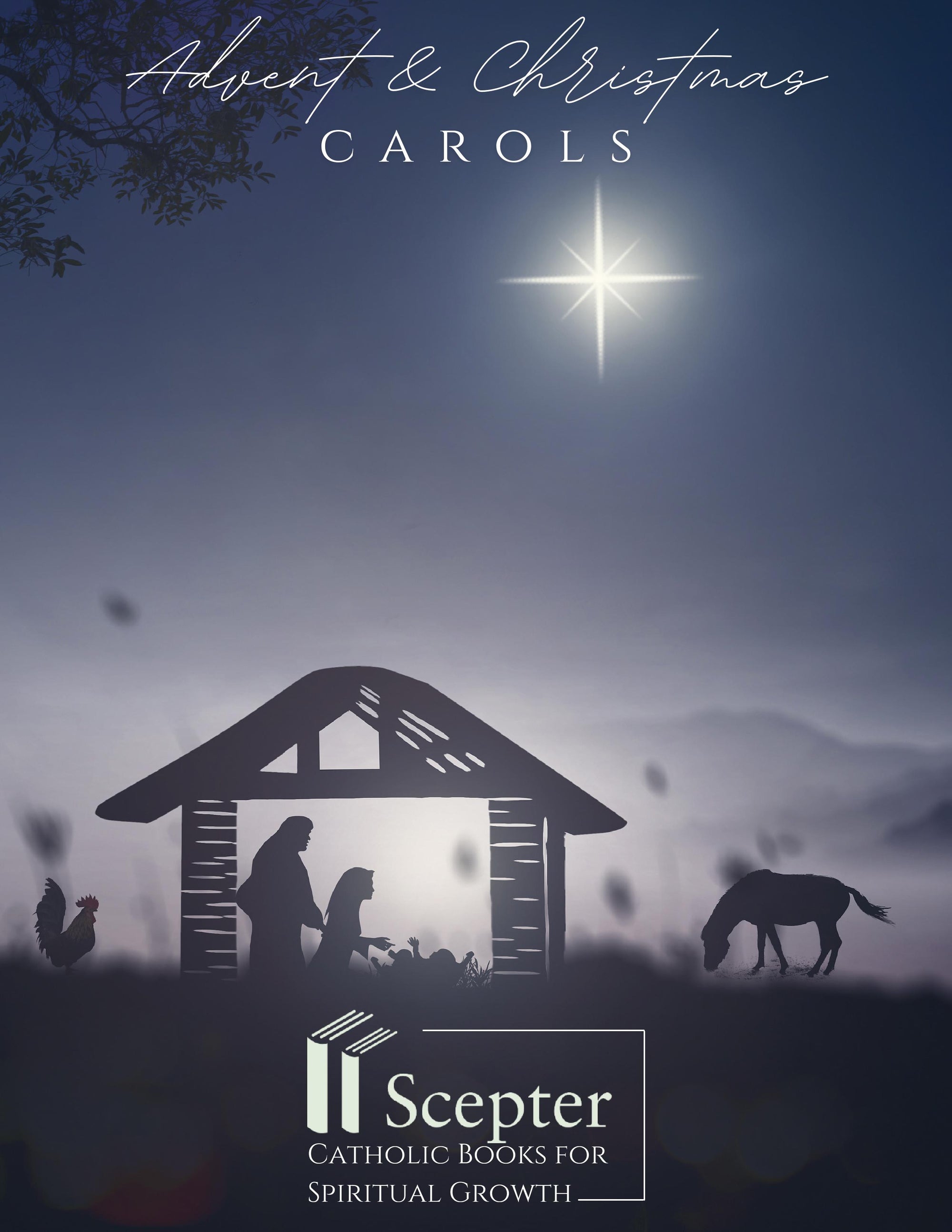 Catholic Advent & Christmas Books