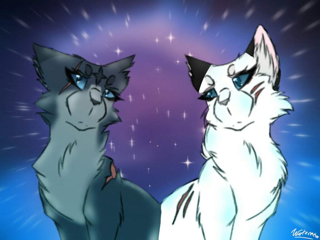 Bluestar and Snowfur.. Warrior Cats Poster
