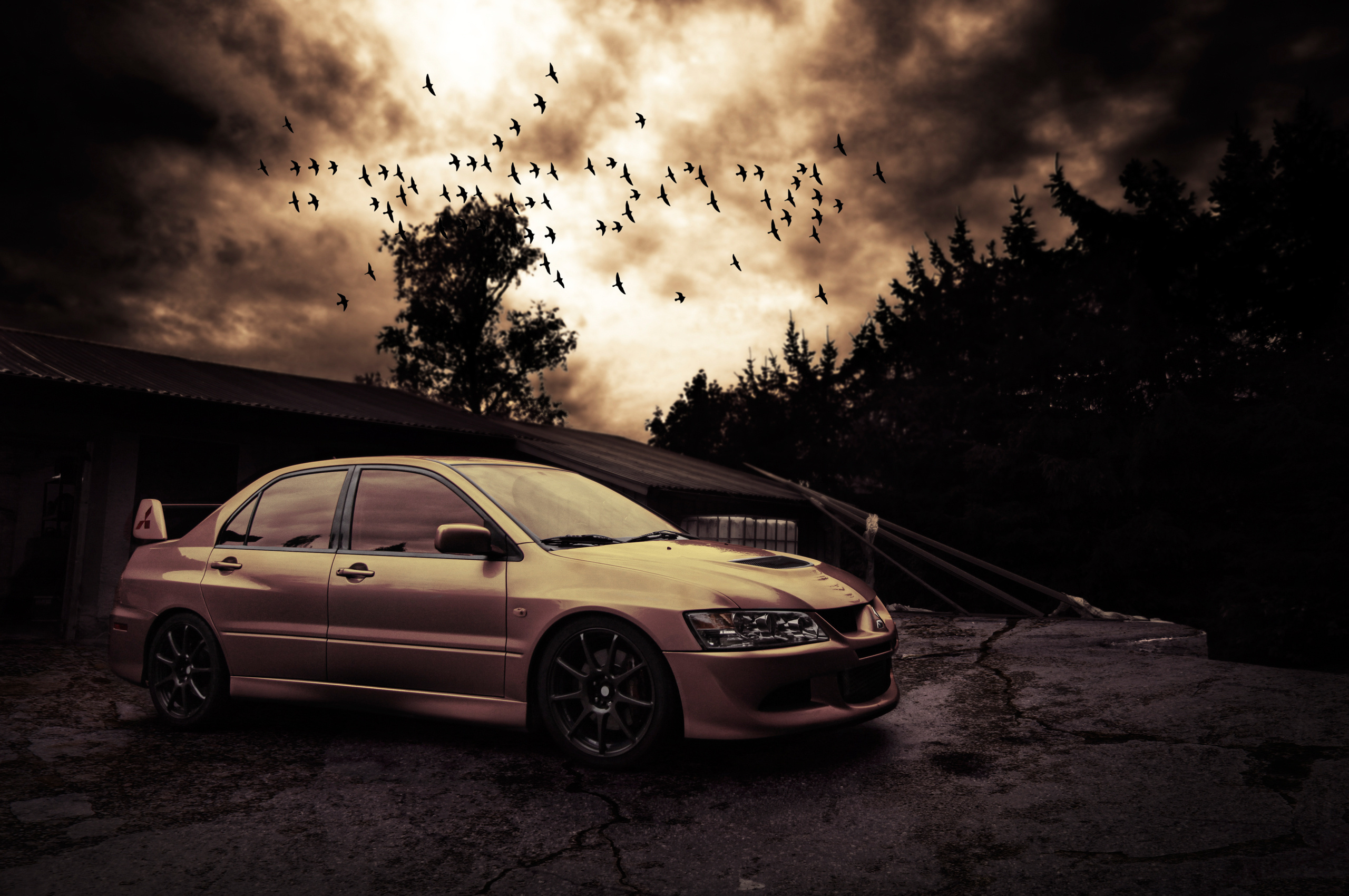 Wallpaper. Cars. photo. picture. evening, birds, Mitsubishi lancer evo viii