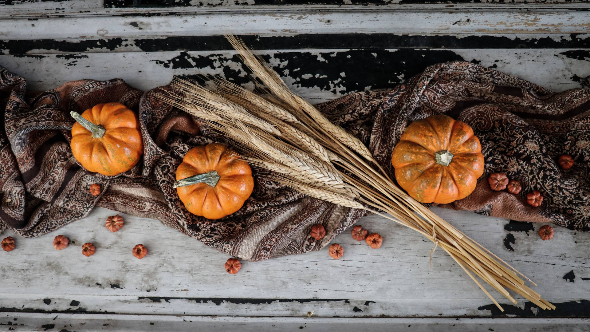 Download Rustic Fall Pumpkin With Wheat Straws Wallpaper