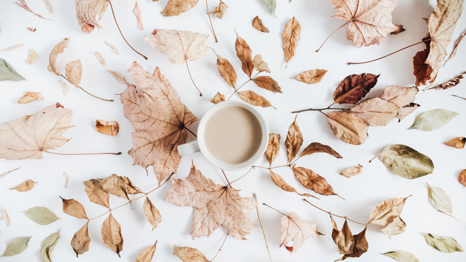 FREE Aesthetic Fall Wallpaper iPhone and Desktop