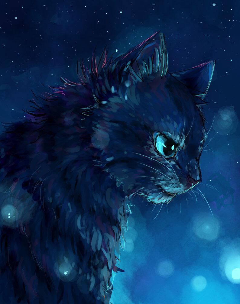 Jayfeather lock screen for phone. this is not mine i just wanted to share it!