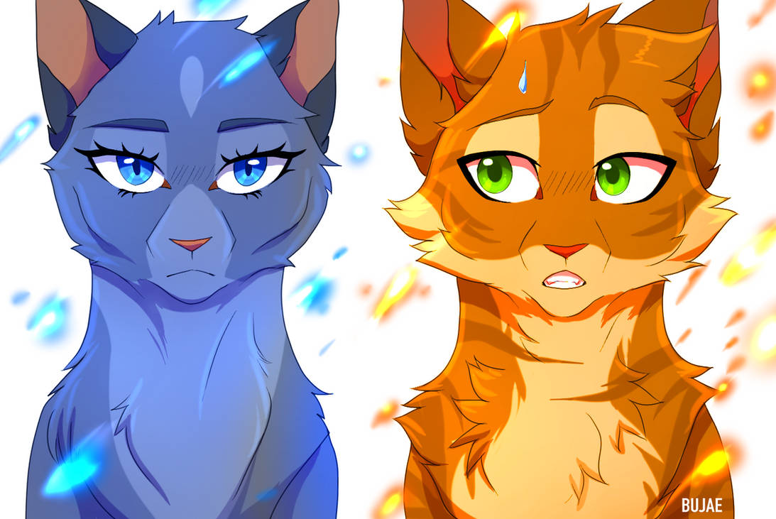 Bluestar and Fireheart