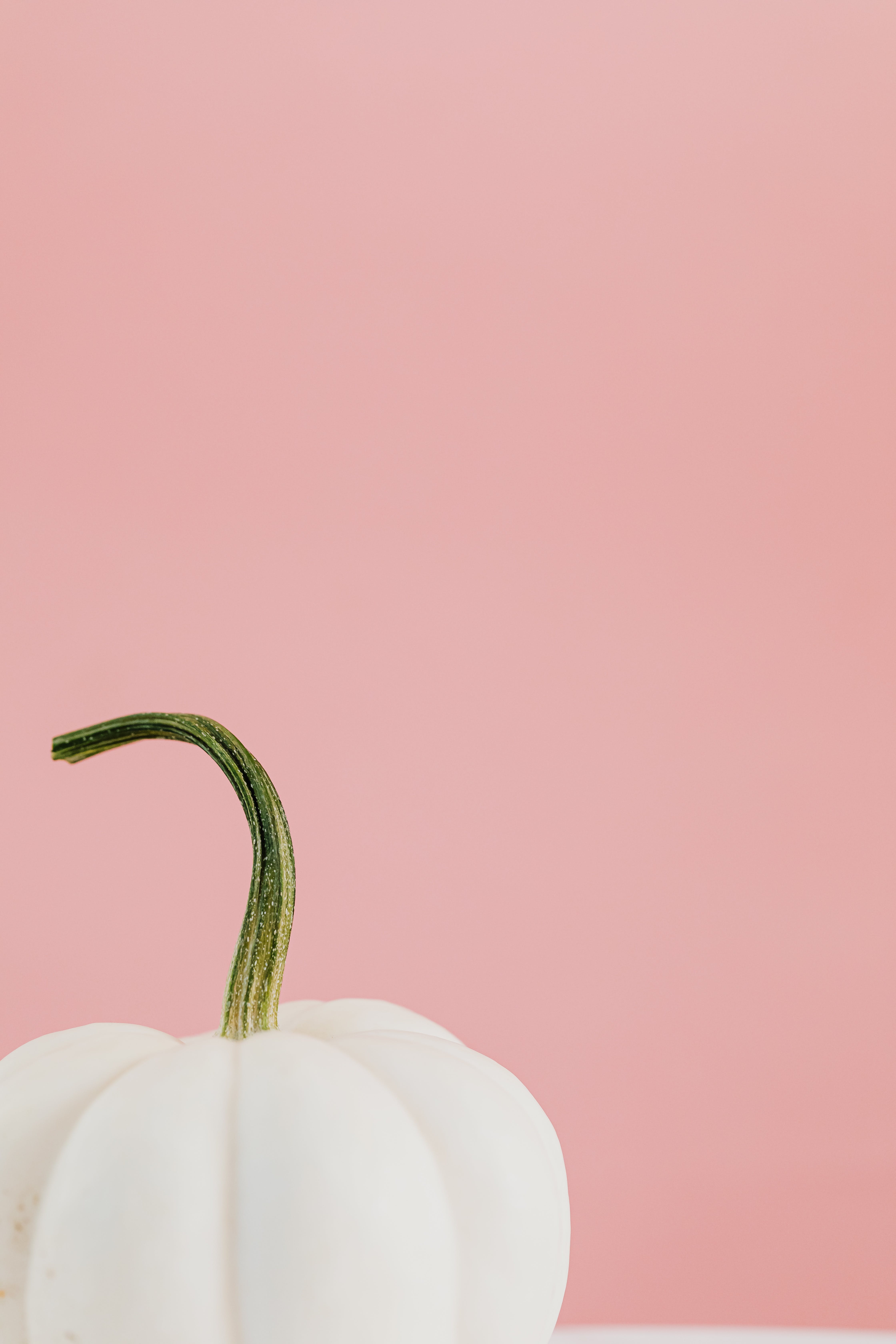 White Pumpkin against a Pink Background · Free