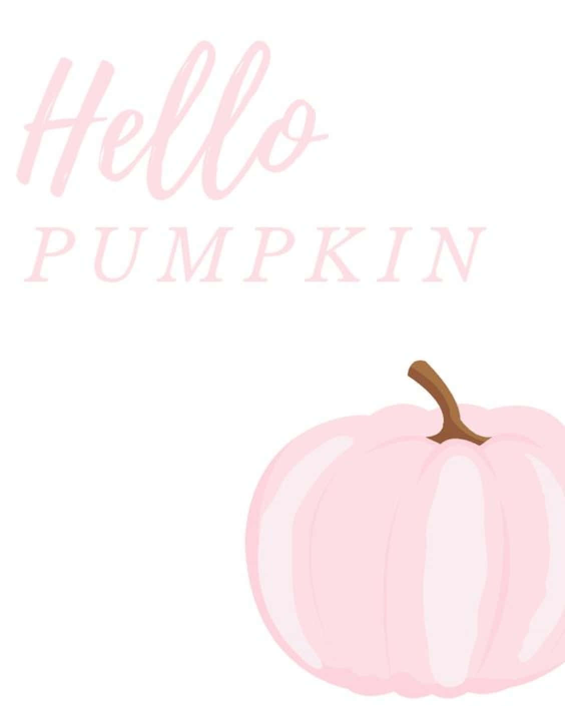 Pink Pumpkin Wallpaper