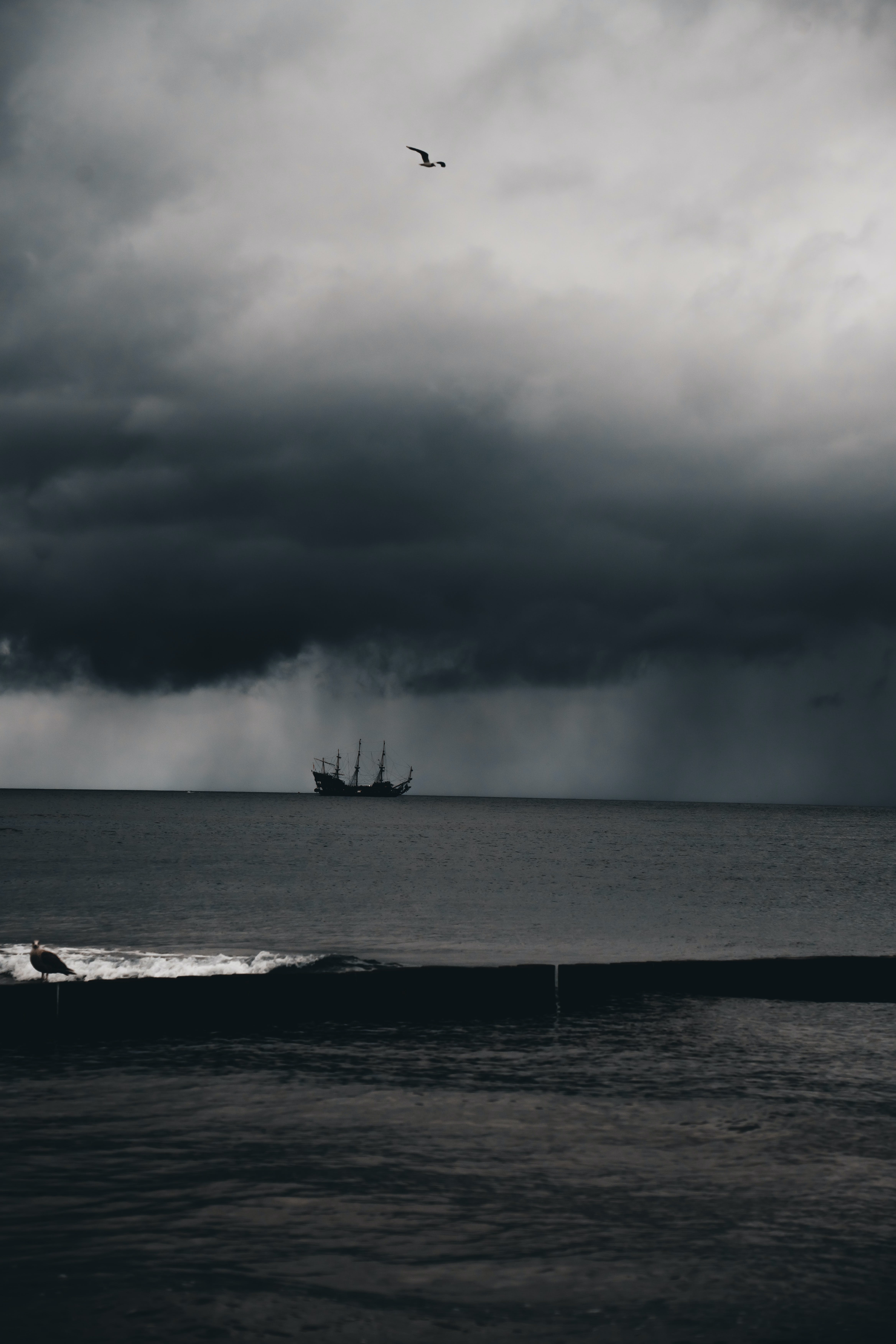Storm at the Sea in Black and White · Free