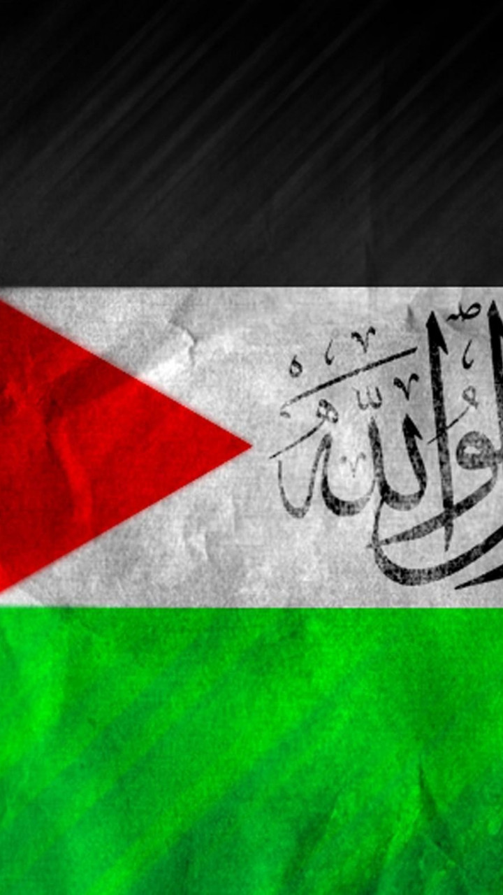 Palestine Flag HD Background Wallpaper 88620