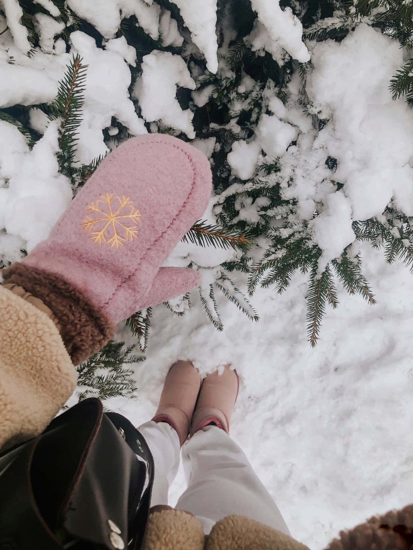 Download Winter Gloves Cozy Winter Aesthetic Photography Wallpaper