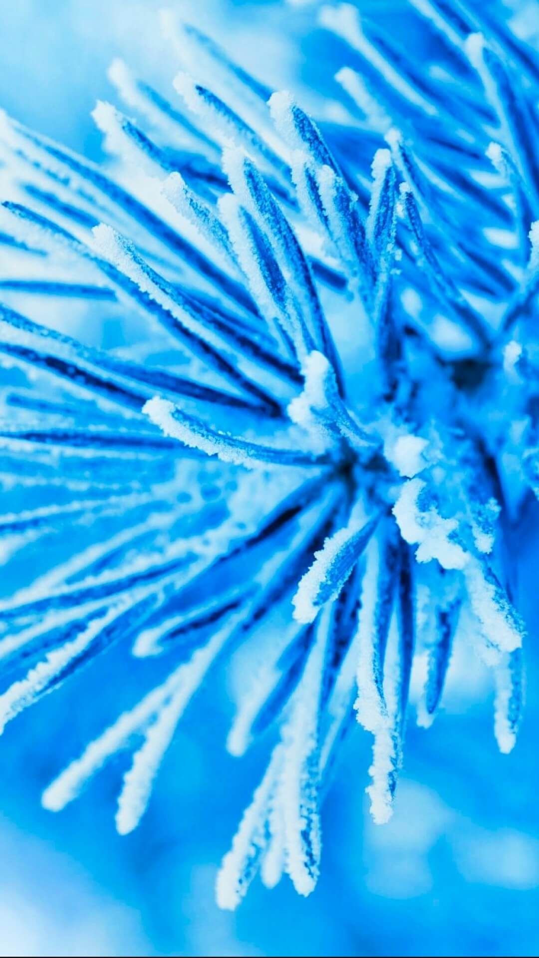 Cozy winter wallpaper for iPhone in 2023 (Free download). iPhone wallpaper winter, Winter iphone, Winter wallpaper