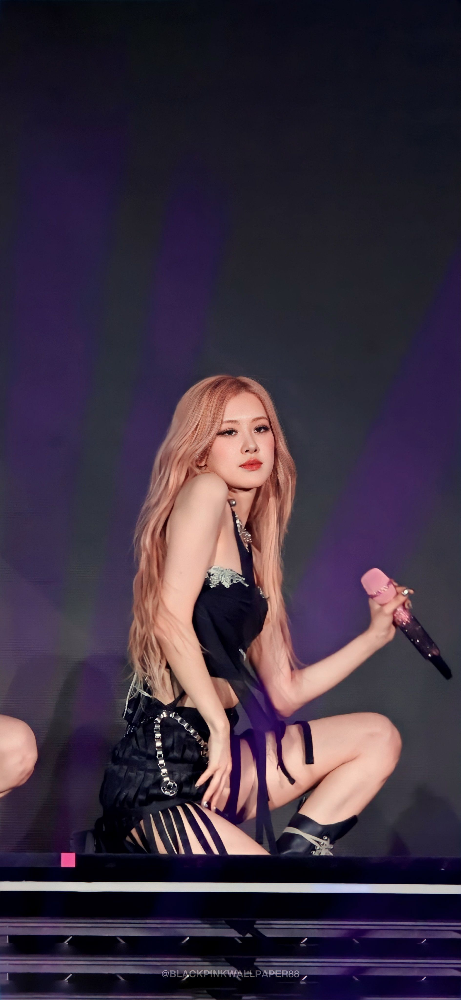 rose wallpaper, rose, blackpink