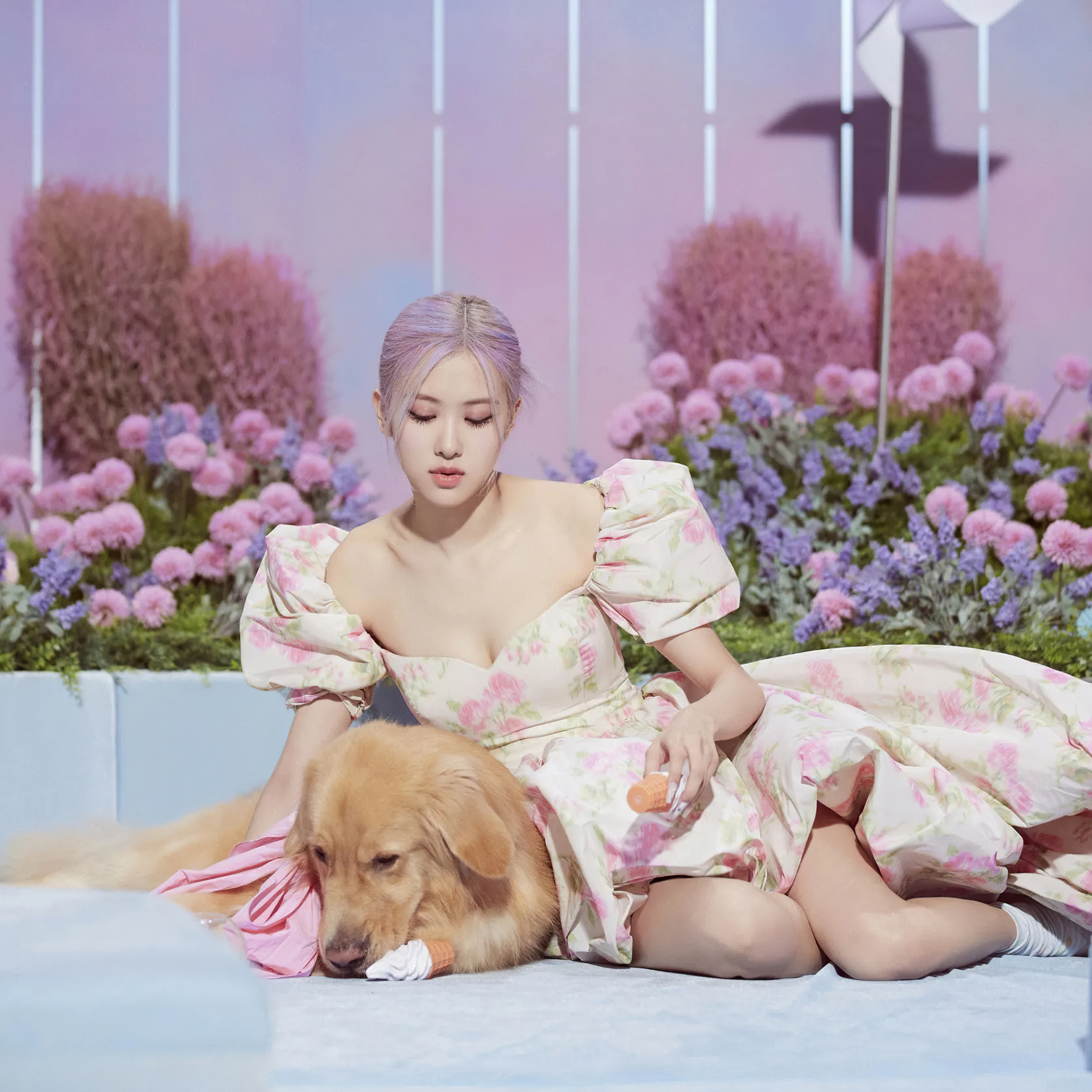 Blackpink Rose 4k iPad Pro