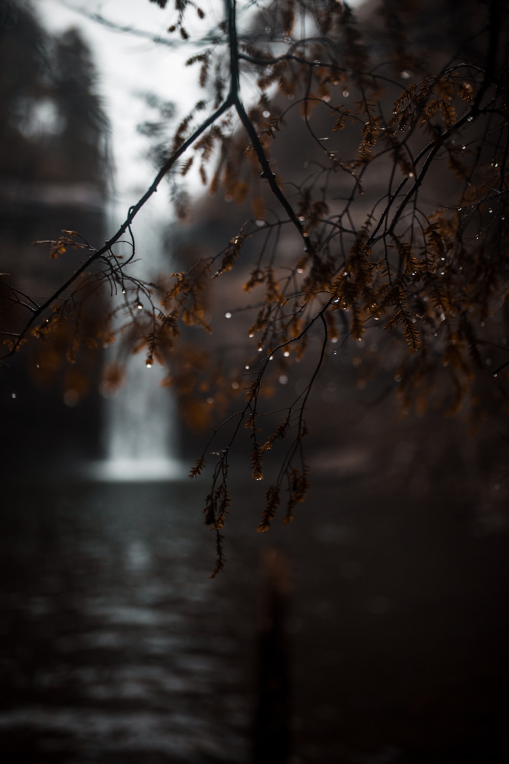 Autumn Rain Picture. Download Free Image