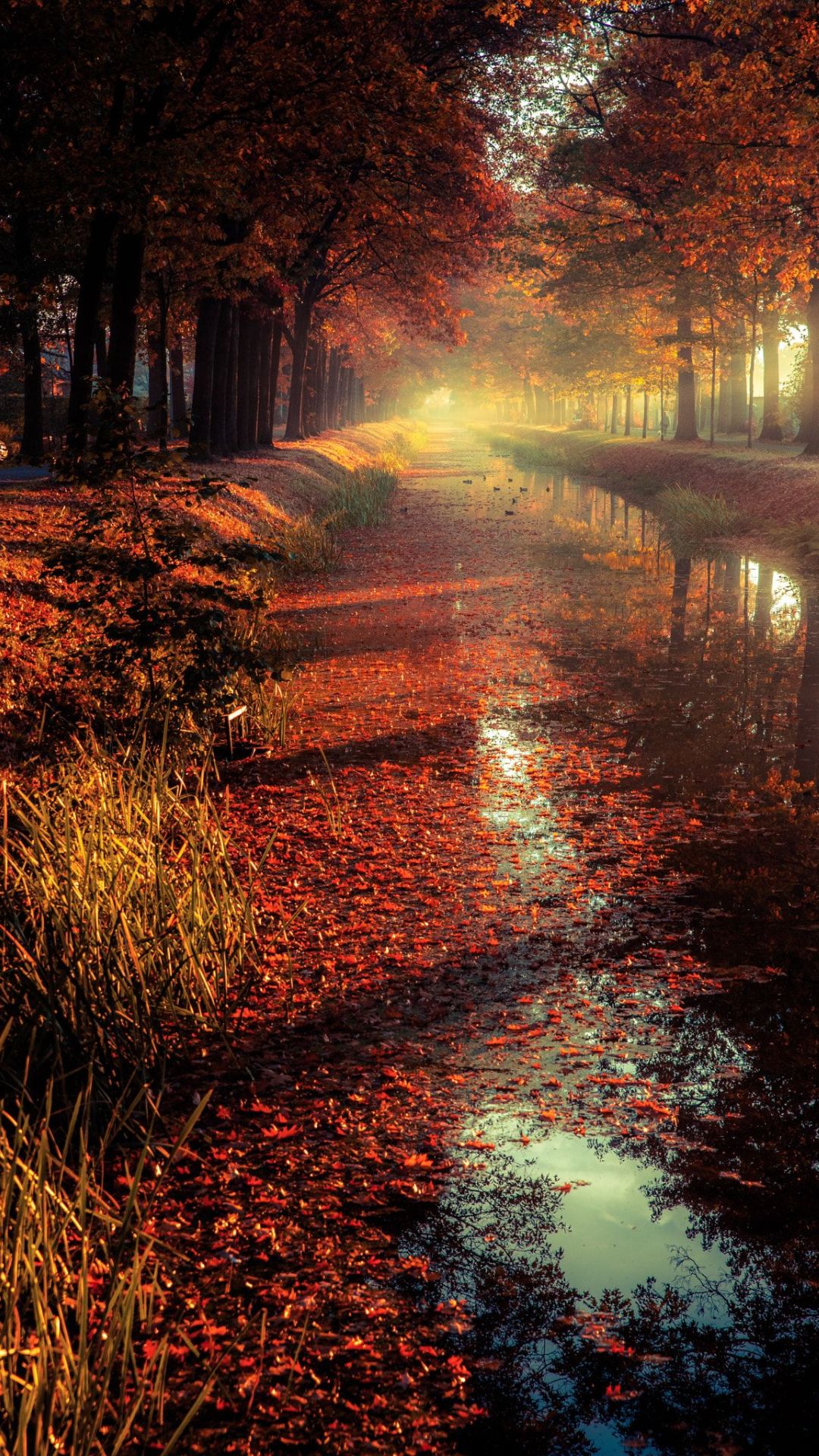 Autumn Wallpaper Autumn Background Download