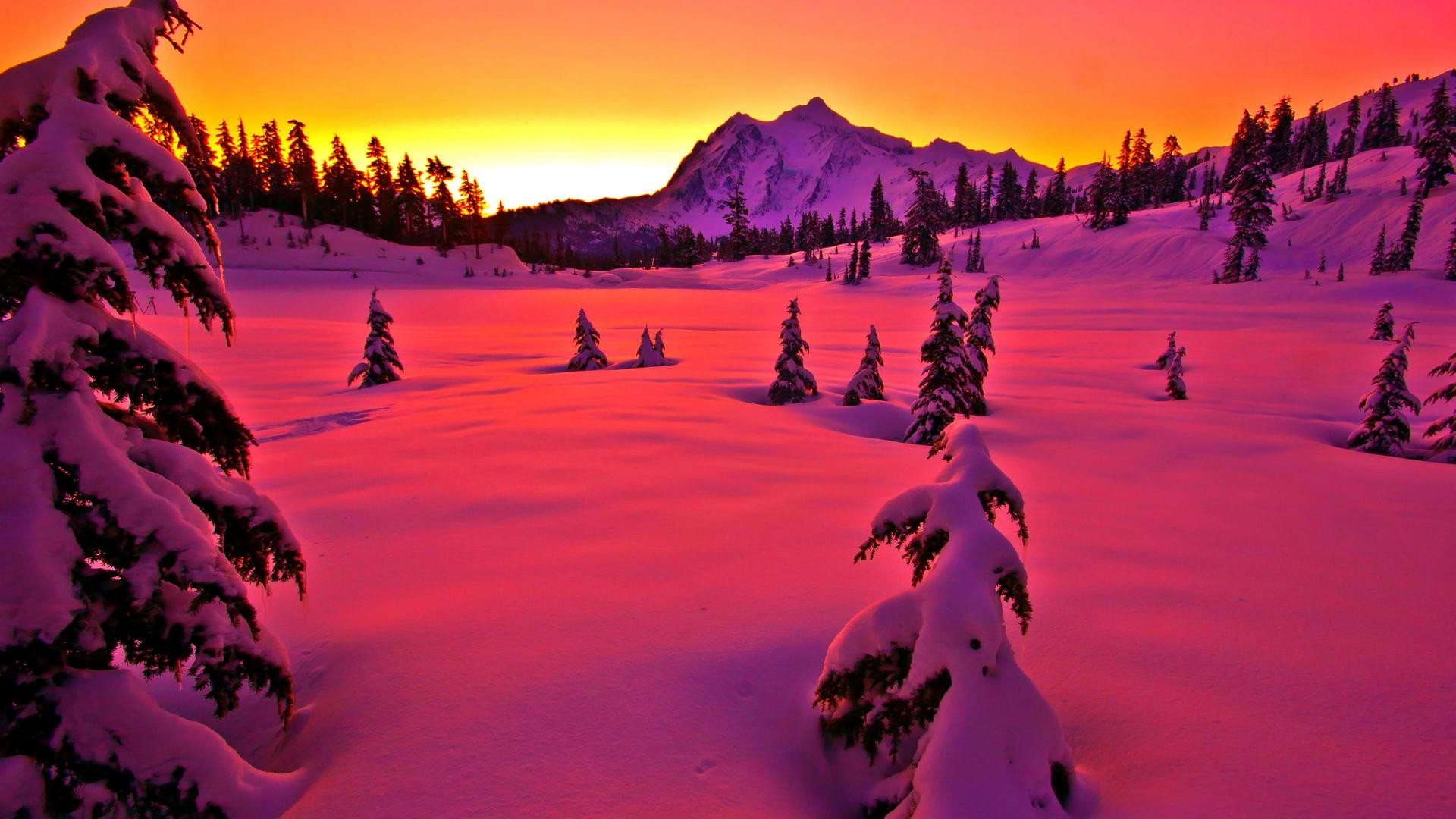 HD desktop wallpaper: Winter, Sunset, Pink, Snow, Forest, Tree, Earth download free picture
