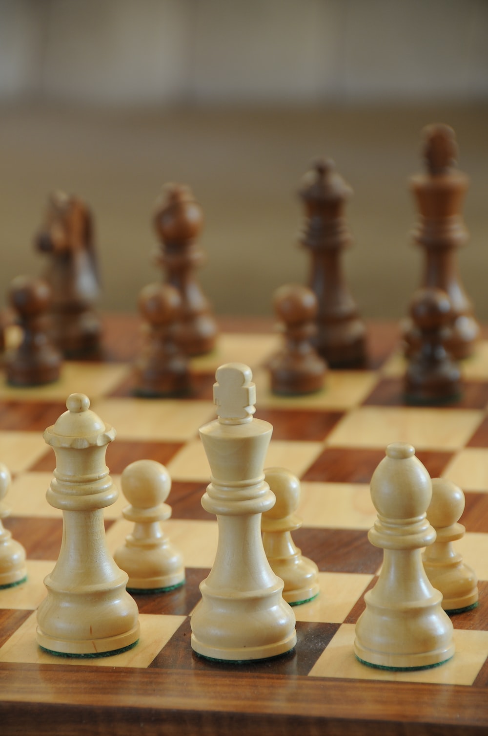 Chess Player Picture. Download Free Image