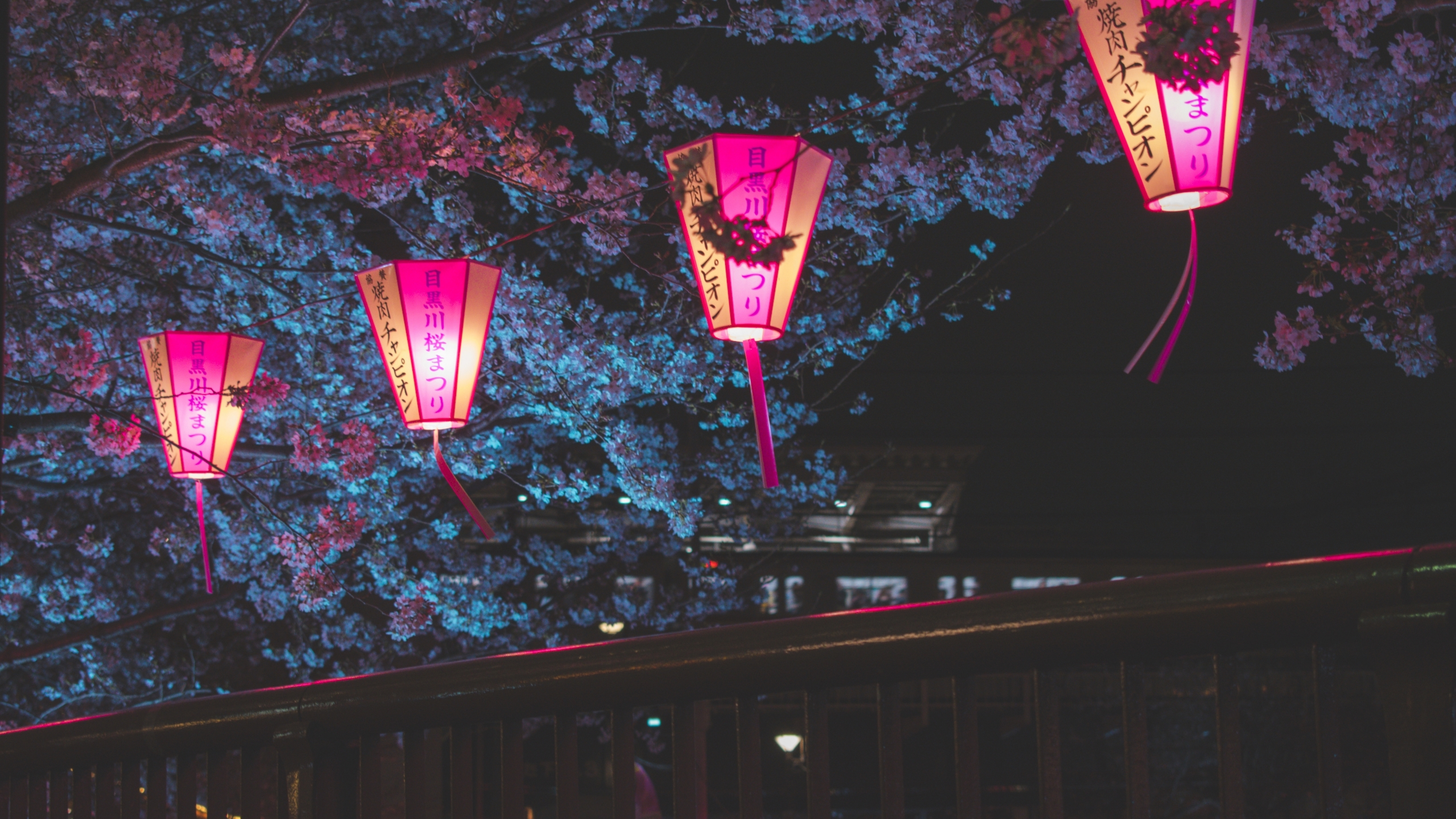 Japan Night Cherry Blossom Trees Lantern Glowing Night 4k HD 4k Wallpaper, Image, Background, Photo and Picture