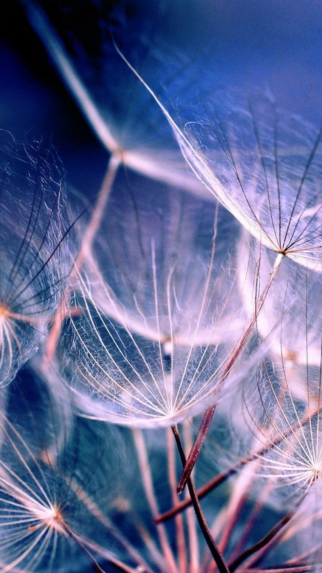 Aesthetic iPhone 13 Wallpaper HD 2023