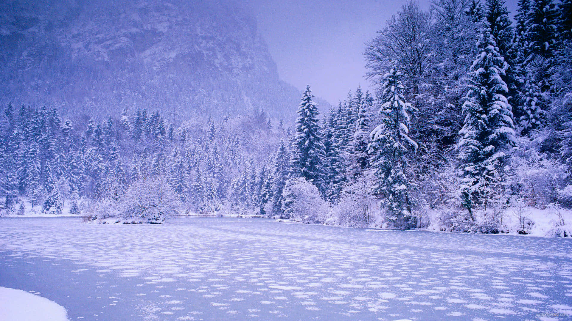 Download Simple Winter Snow Lake Wallpaper
