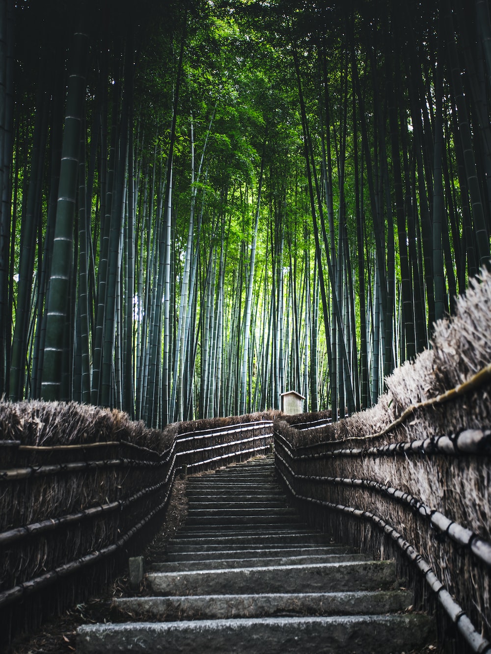 Mistical Picture. Download Free Image