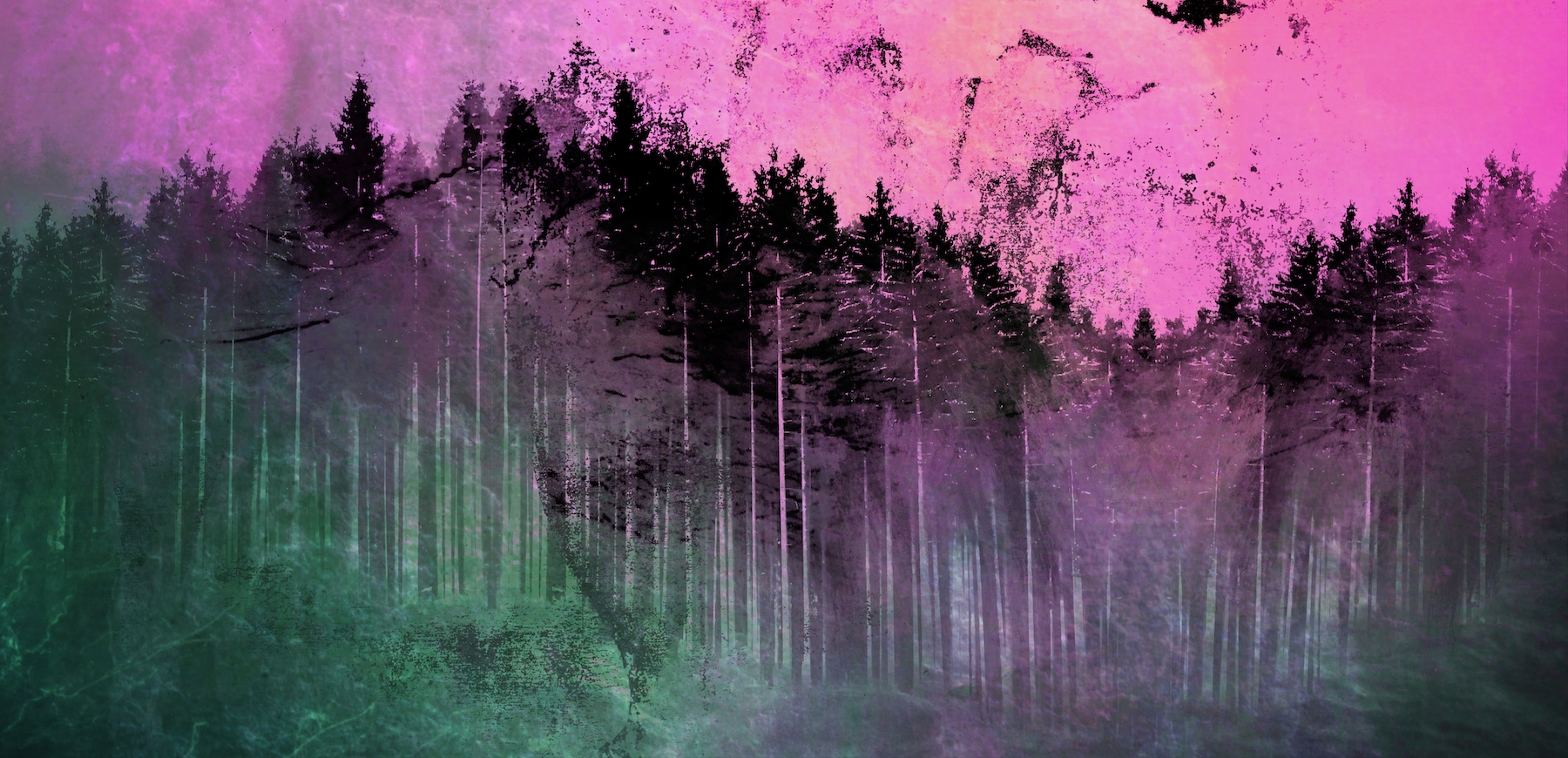 Buy Magenta Corall Dream Forest Grunge Wallpaper