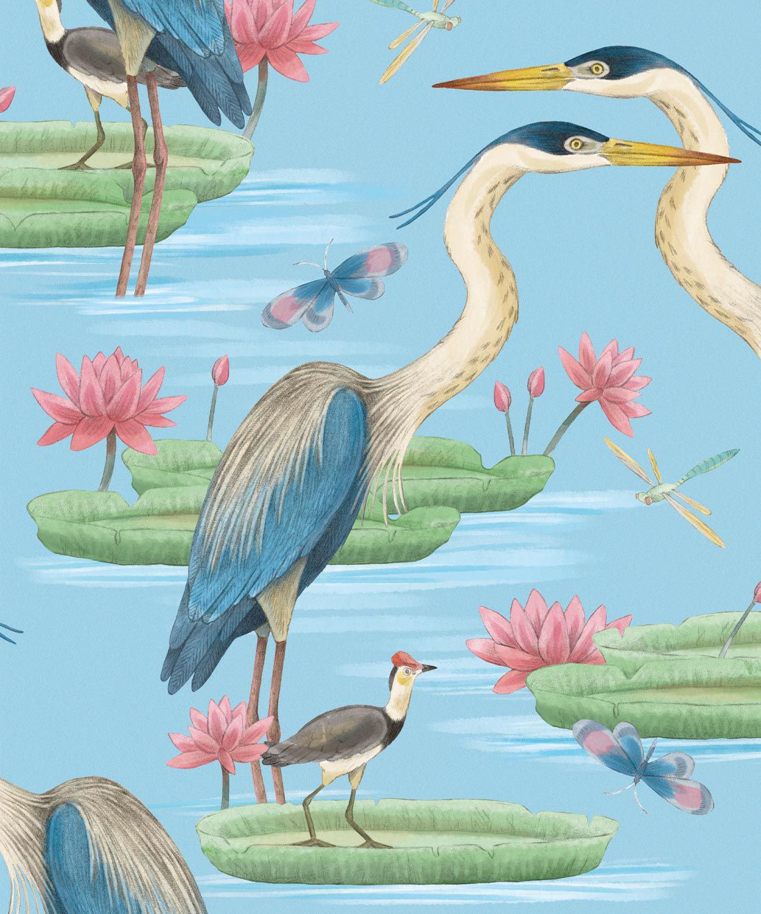 Herons, Jacana & Giant Lilypads • Water Bird Wallpaper