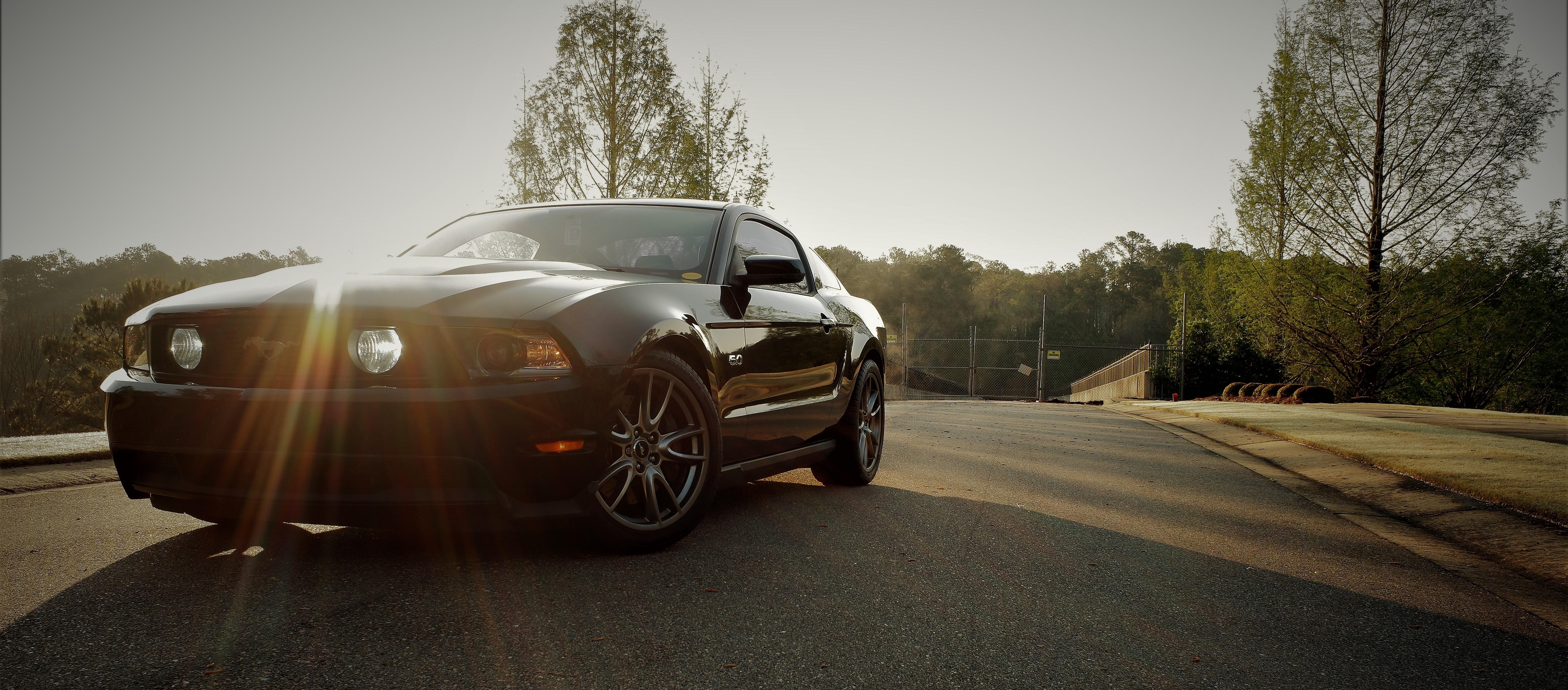 Made a dual screen wallpaper of my girl this morning