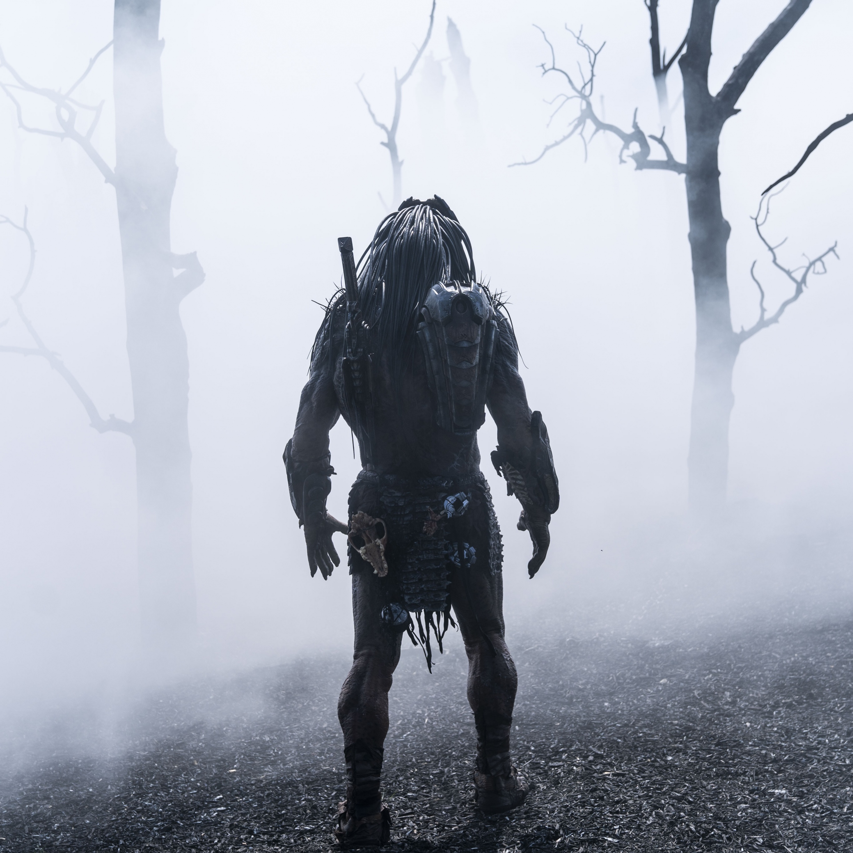 Prey Wallpaper 4K, 2022 Movies