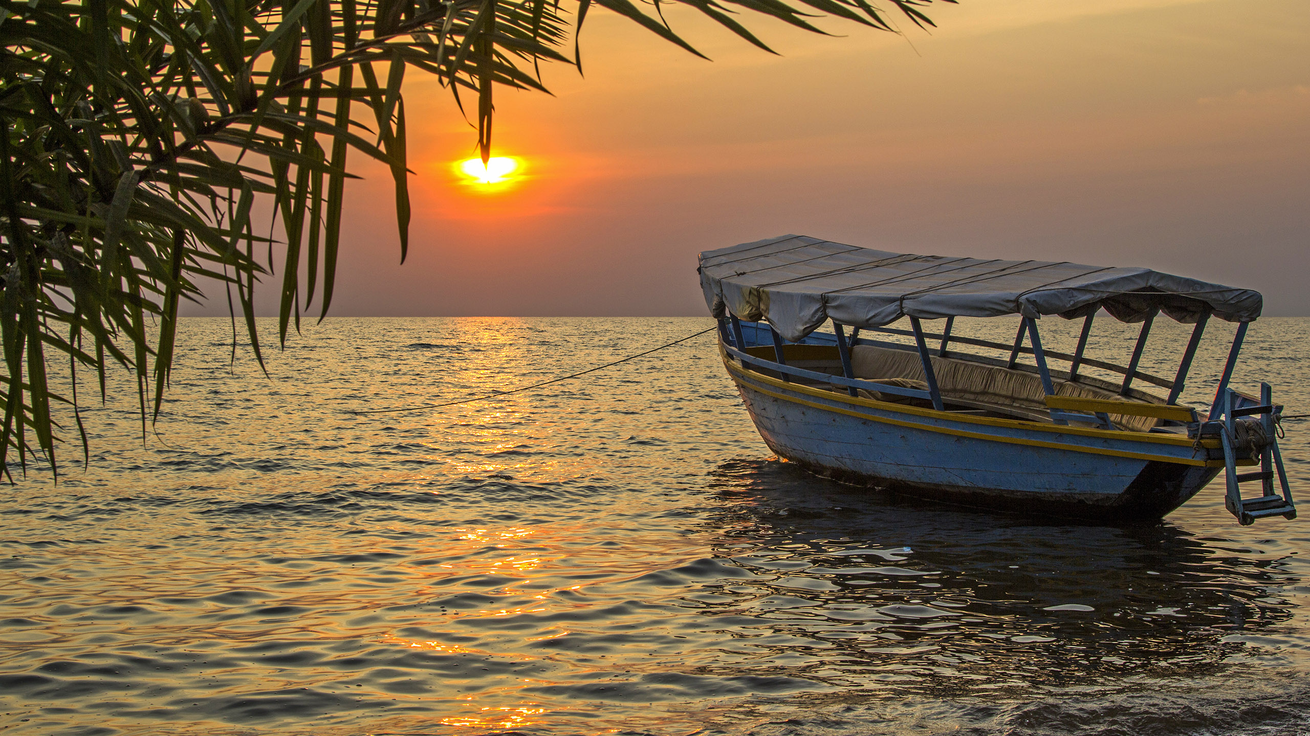 Book Lake Victoria Safari Holidays. Lake Victoria Cruises 2023 2024. Abercrombie & Kent