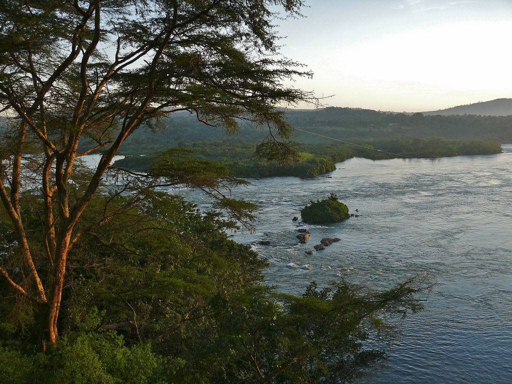 Victoria Nile out of Lake Victoria. North of Jinja, UGANDA