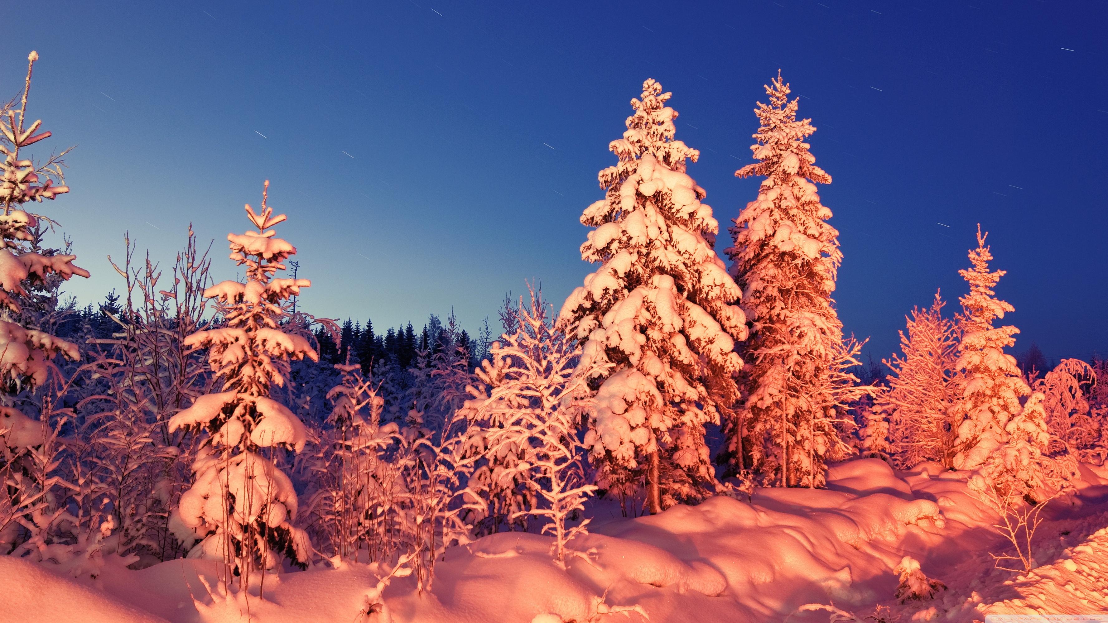 Winter Evening Ultra HD Desktop Background Wallpaper for 4K UHD TV, Tablet