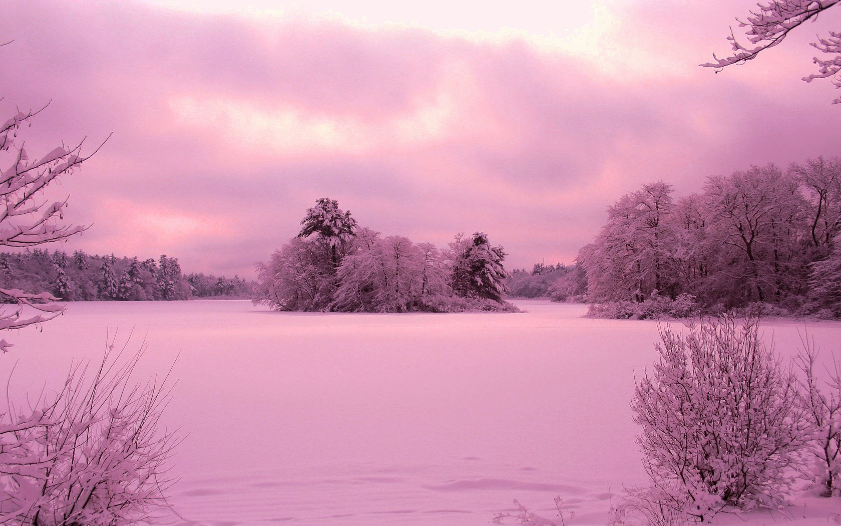 Purple Sunset over Winter Landscape