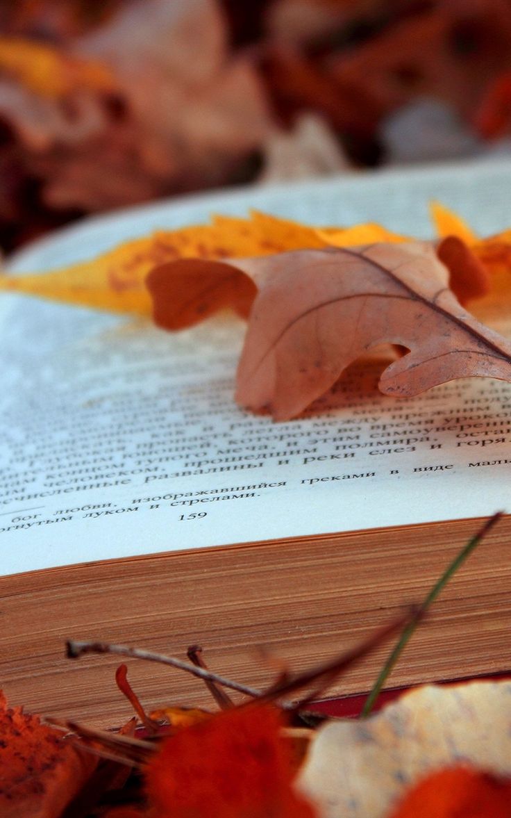 Wallpaper pages books autumn texts foliage leaves. Book wallpaper, Leaf wallpaper, Diy wallpaper