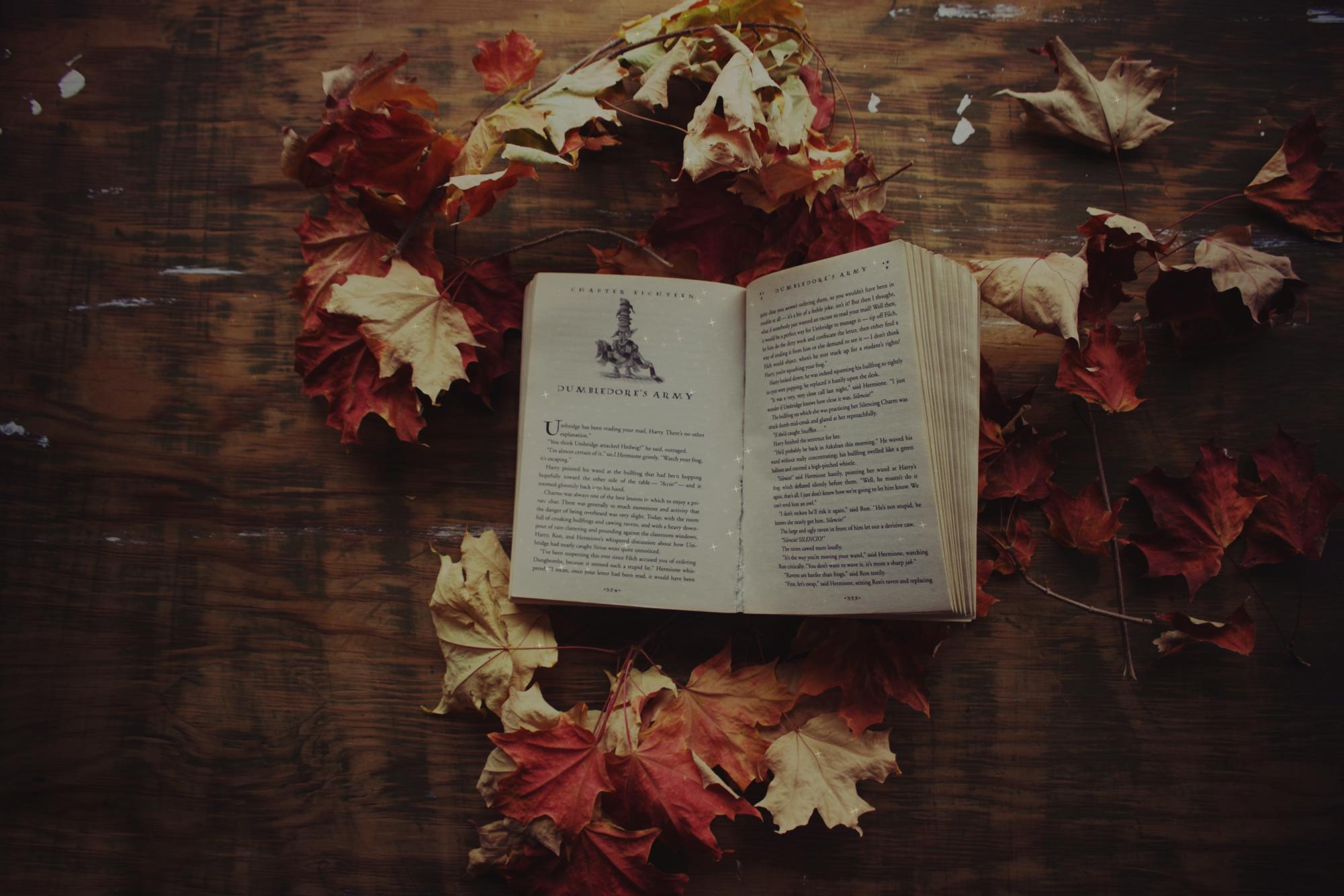 Best Literary Genres for the Fall