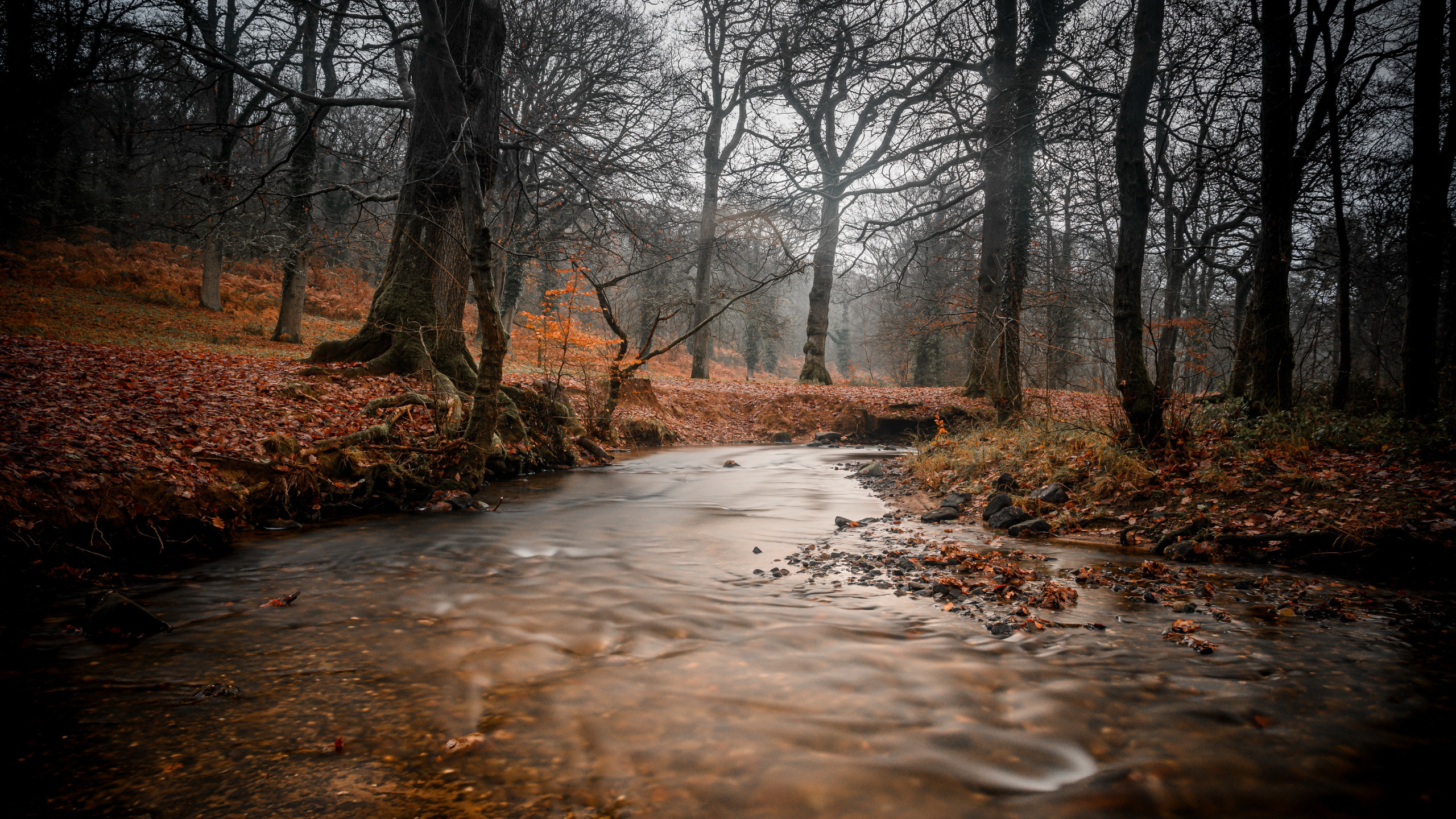 Download wallpaper autumn, nature, river, section nature in resolution 2560x1440