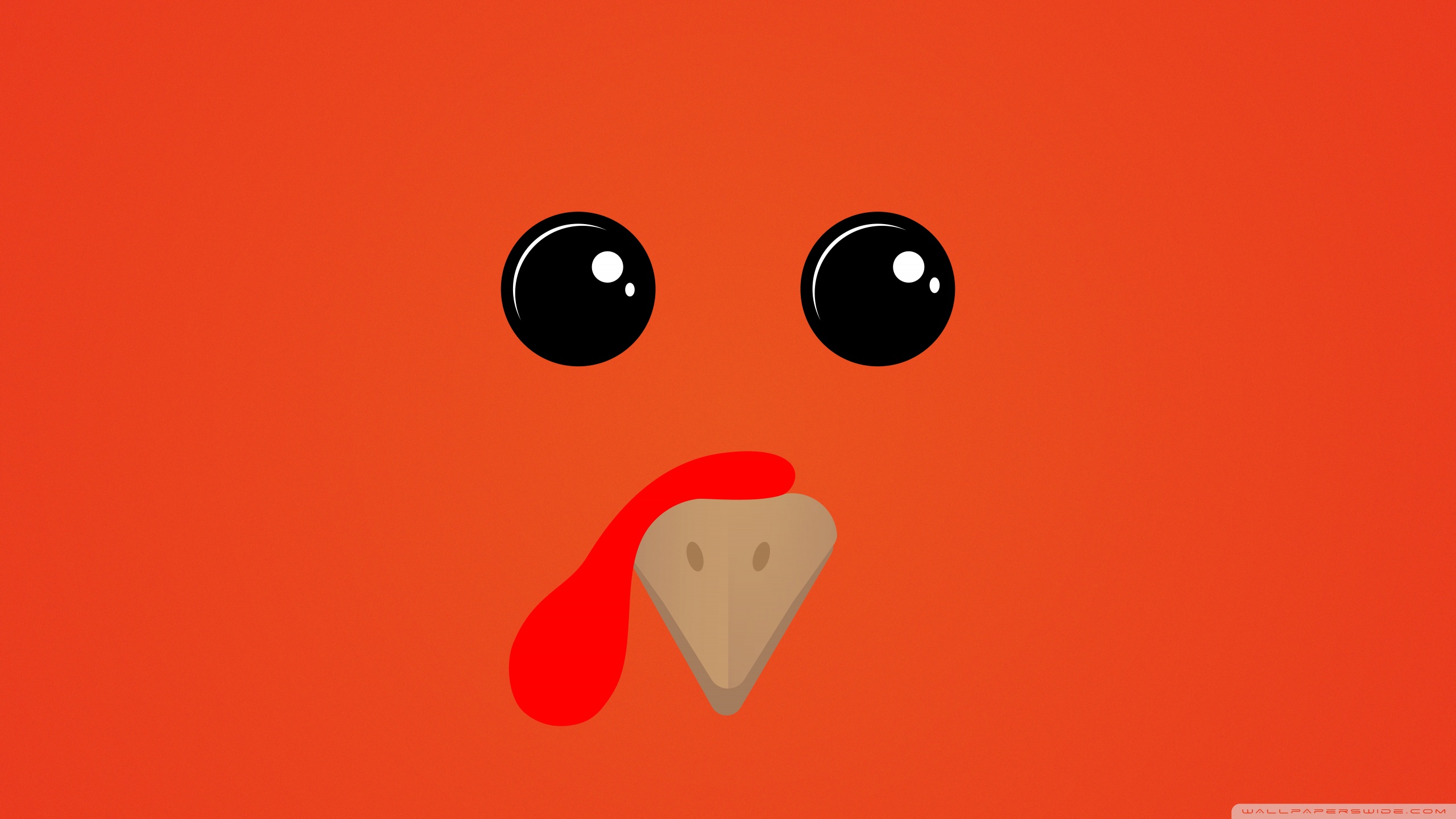 Thanksgiving Turkey Ultra HD Desktop Background Wallpaper for 4K UHD TV, Tablet