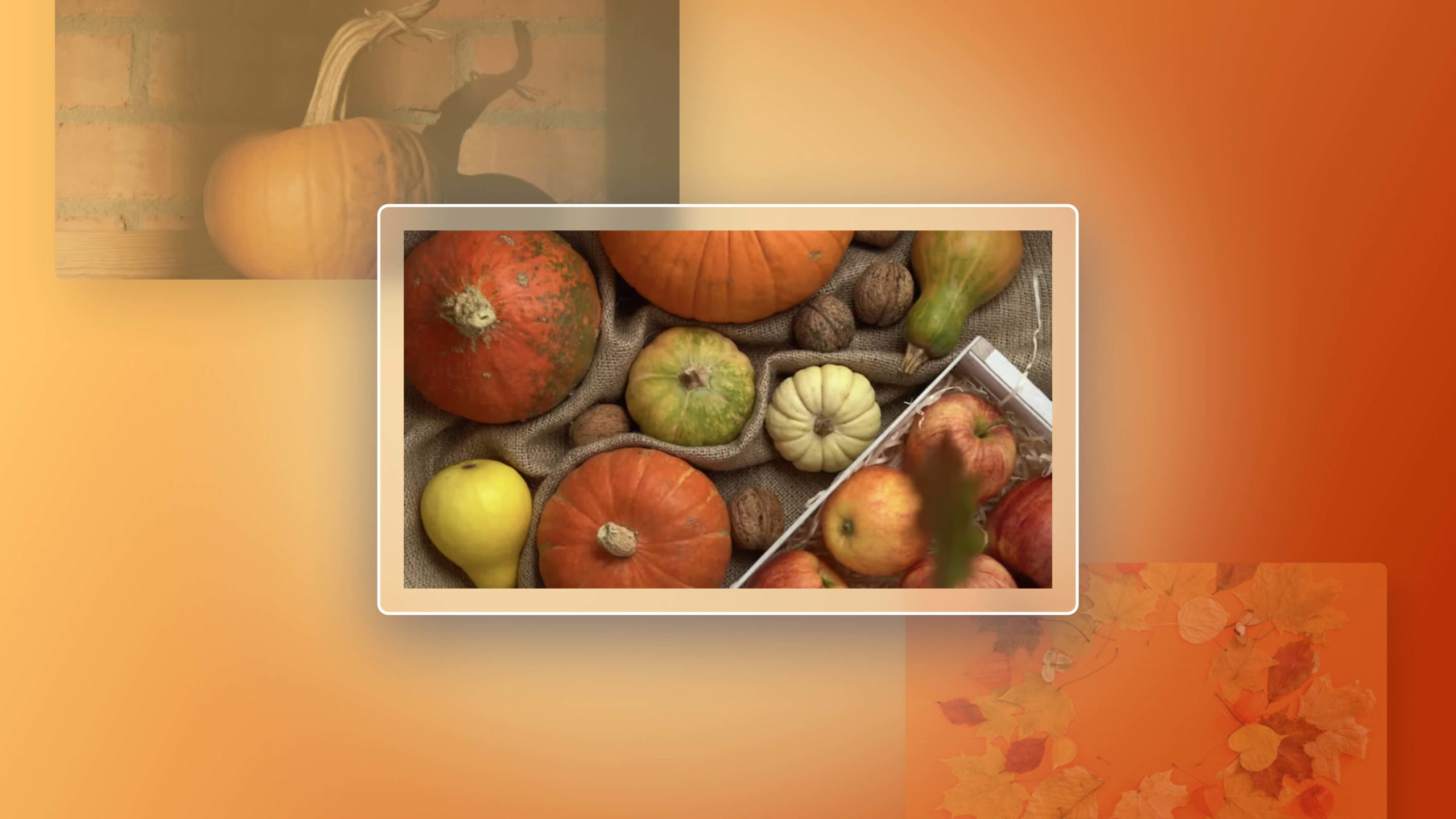 Perfect High Res Thanksgiving Image for Your Social Posts