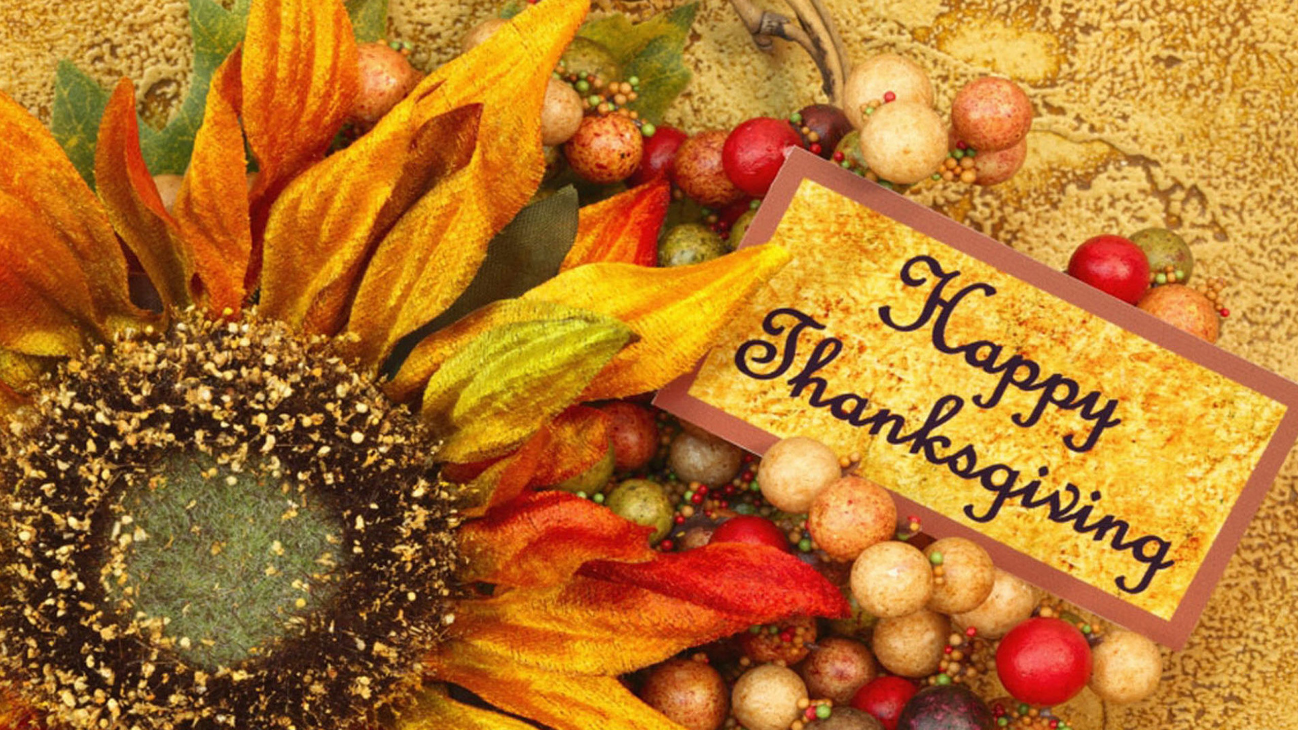 Funny Thanksgiving Wallpaper