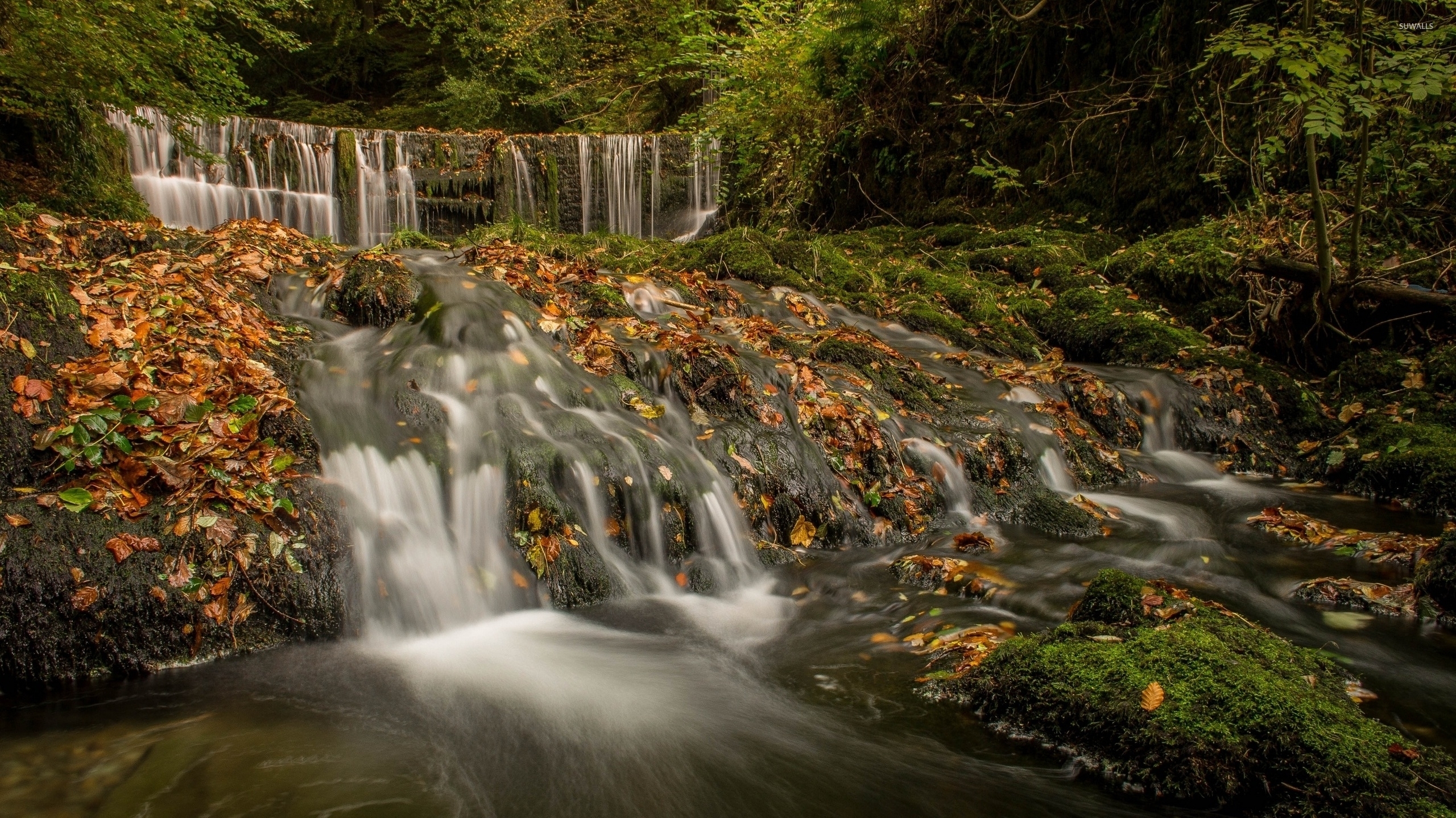 Waterfall washing the autumn leaves in the river wallpaper wallpaper