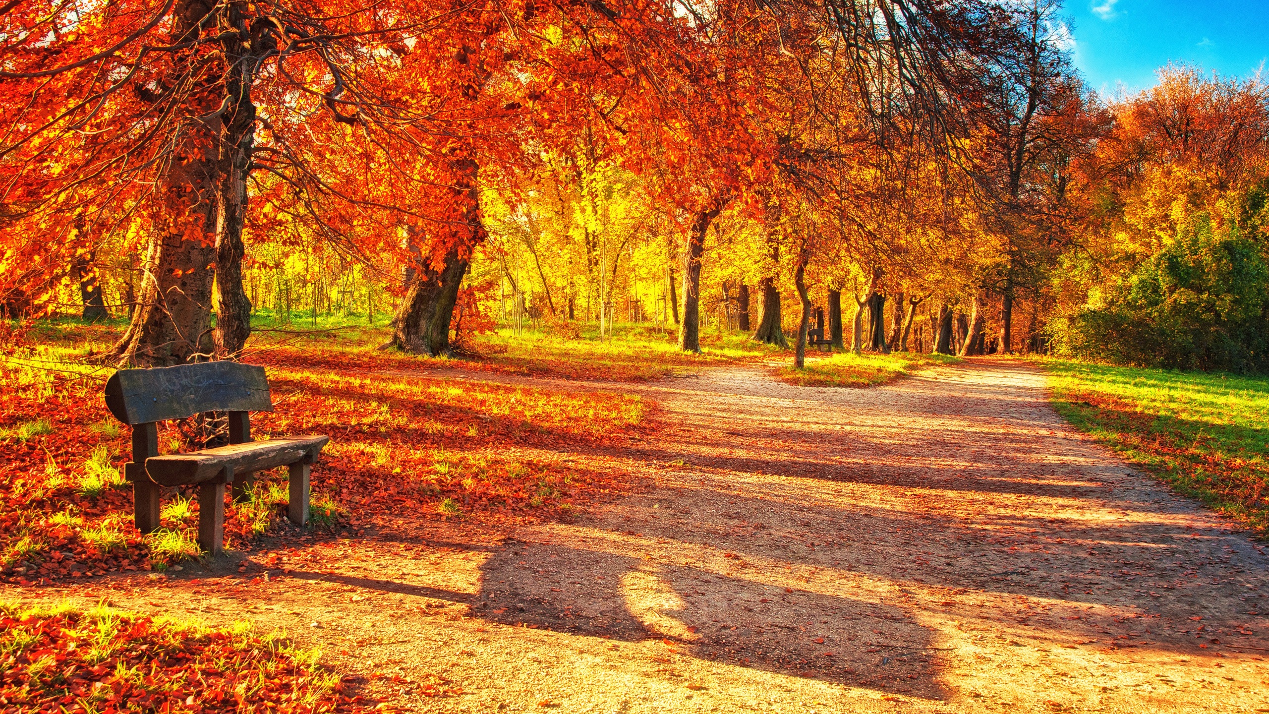 Picture Autumn Nature Parks Bench 2560x1440