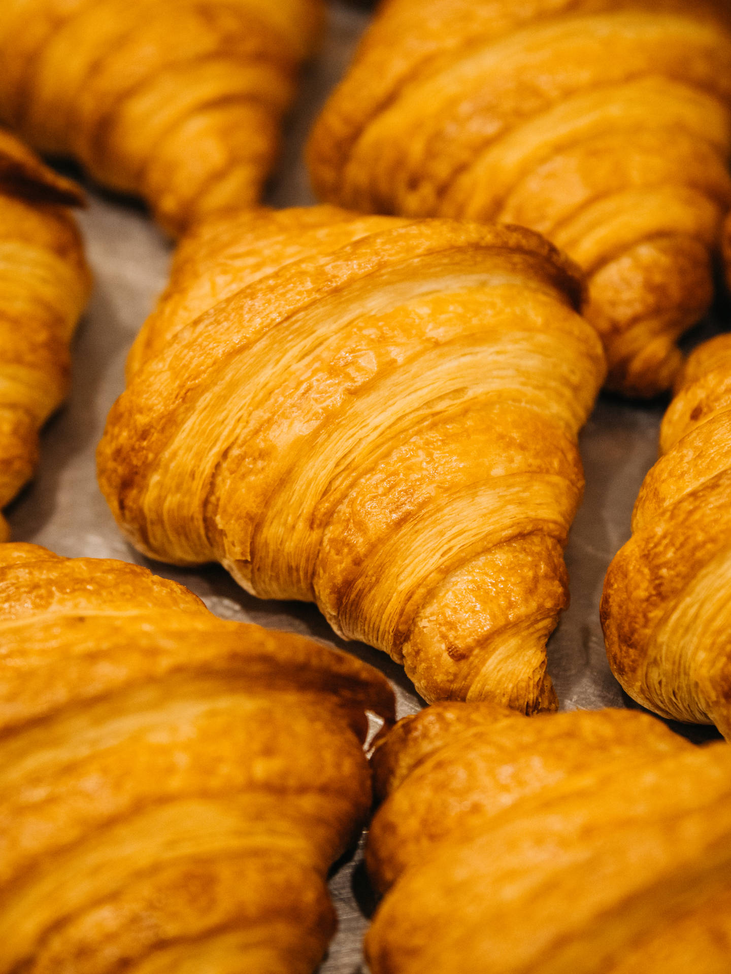 Download Gold Toasted Croissant Pastries Wallpaper