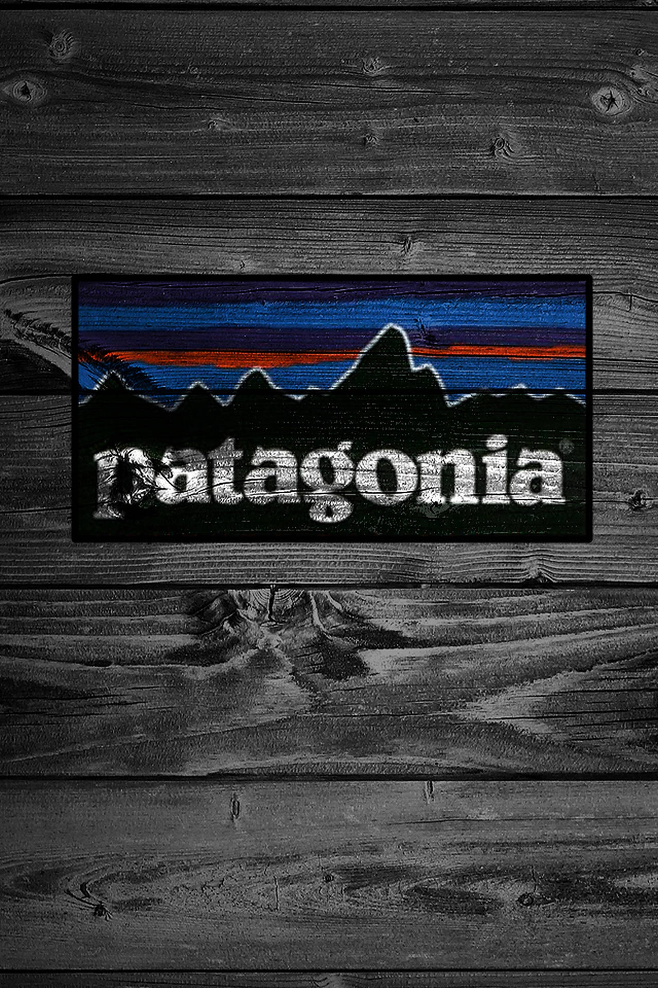 Patagonia launches a platform for environmental activism