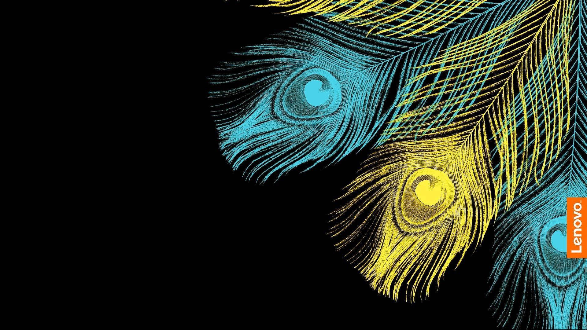 Download Aesthetic Feathers Lenovo Official Wallpaper