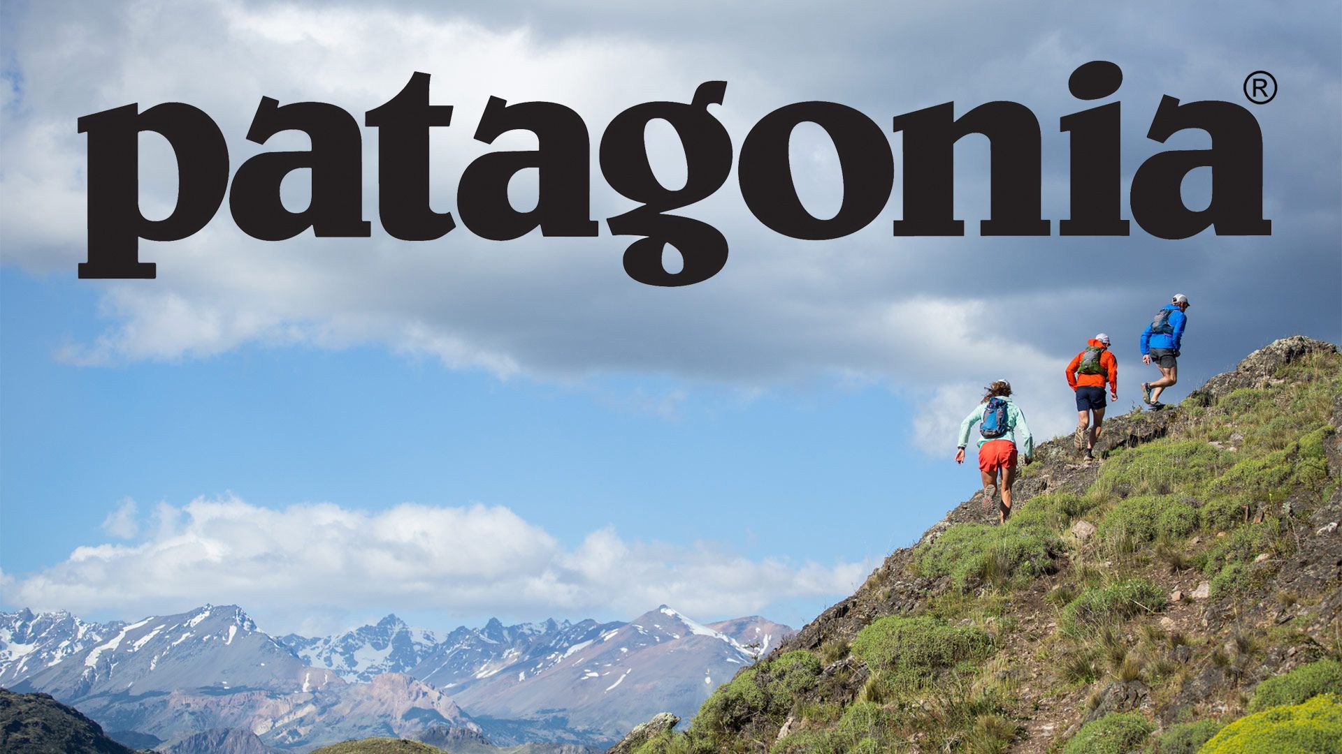 Patagonia launches a platform for environmental activism