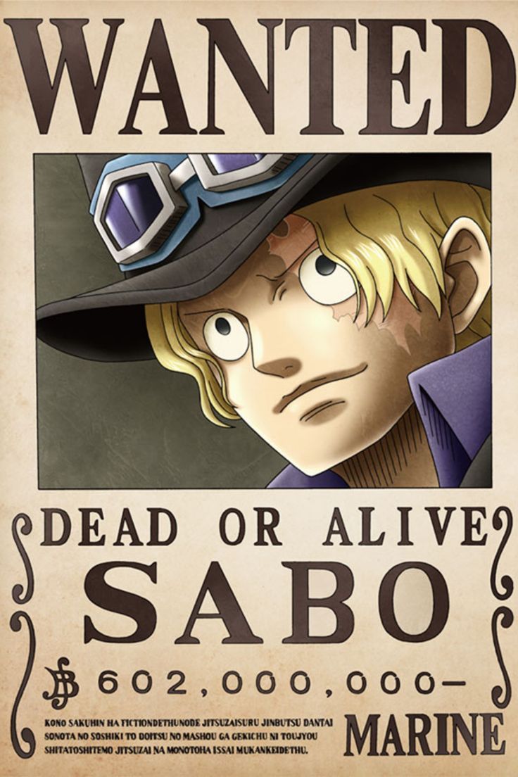 One piece character bounty posters