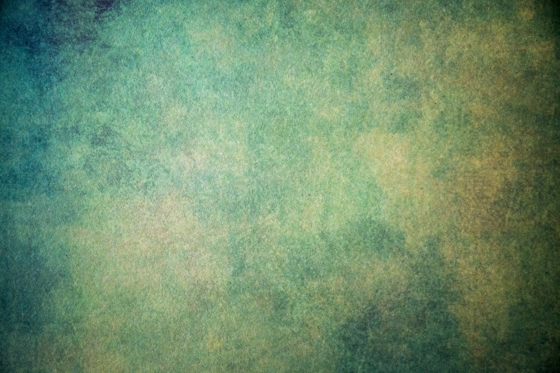 Noelle Kocot's 'God's Green Earth' White Review
