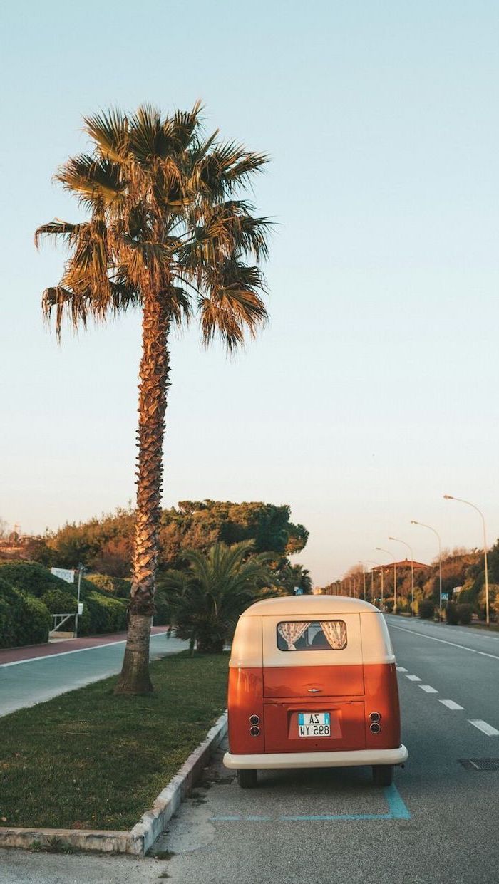 tall palm tree, on the side of the road, parked van, cute quote wallpaper. Wallpaper iphone summer, Summer wallpaper, Cute summer wallpaper