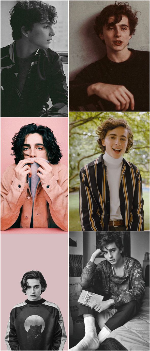 Aesthetic and Vintage Timothee Chalamet iPhone Wallpaper Ideas Ideas about Everything. Timothee chalamet, Celebrity entertainment, iPhone wallpaper